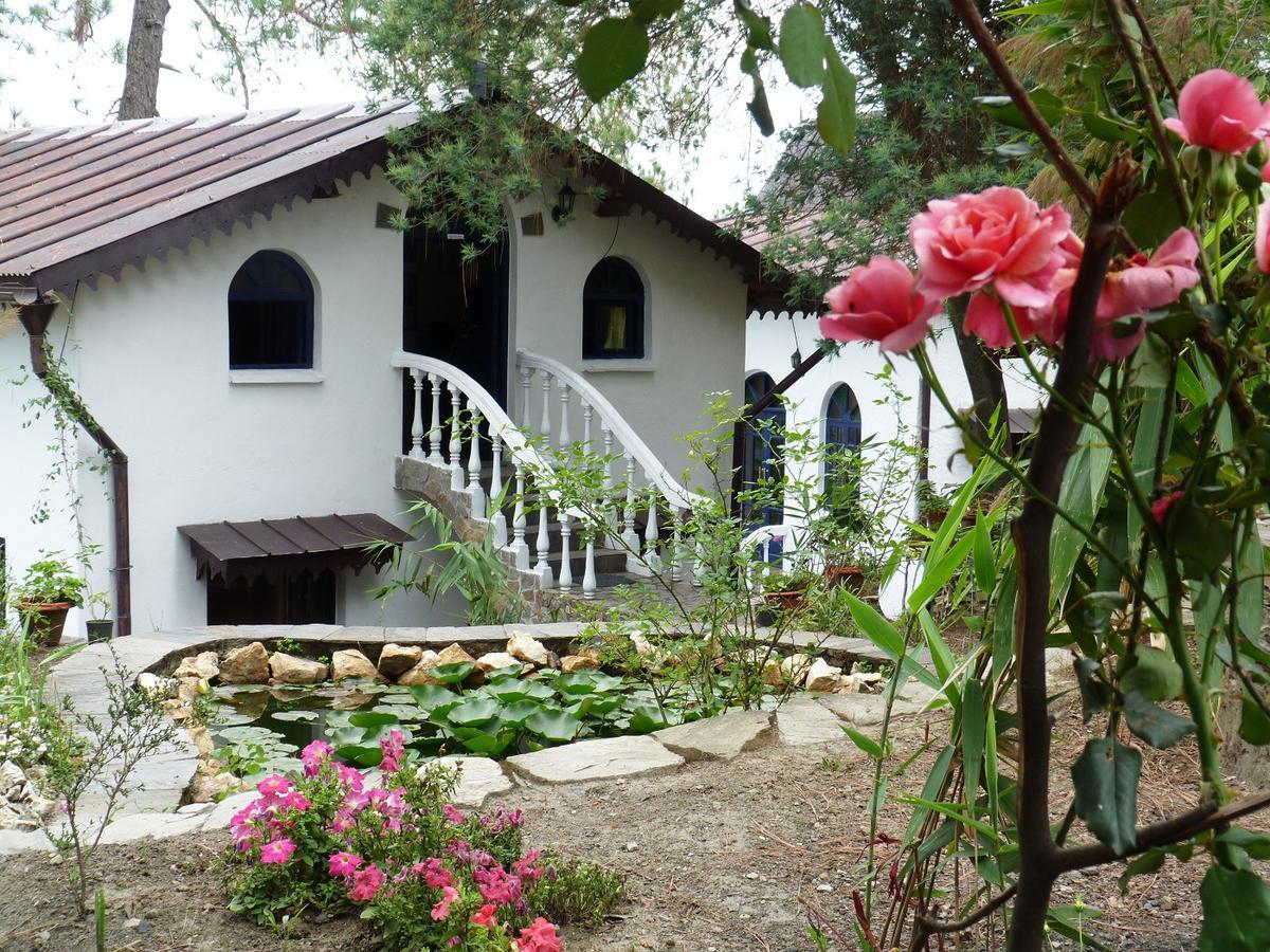 Ayurvaid Kalmatia Hotel Almora Exterior photo