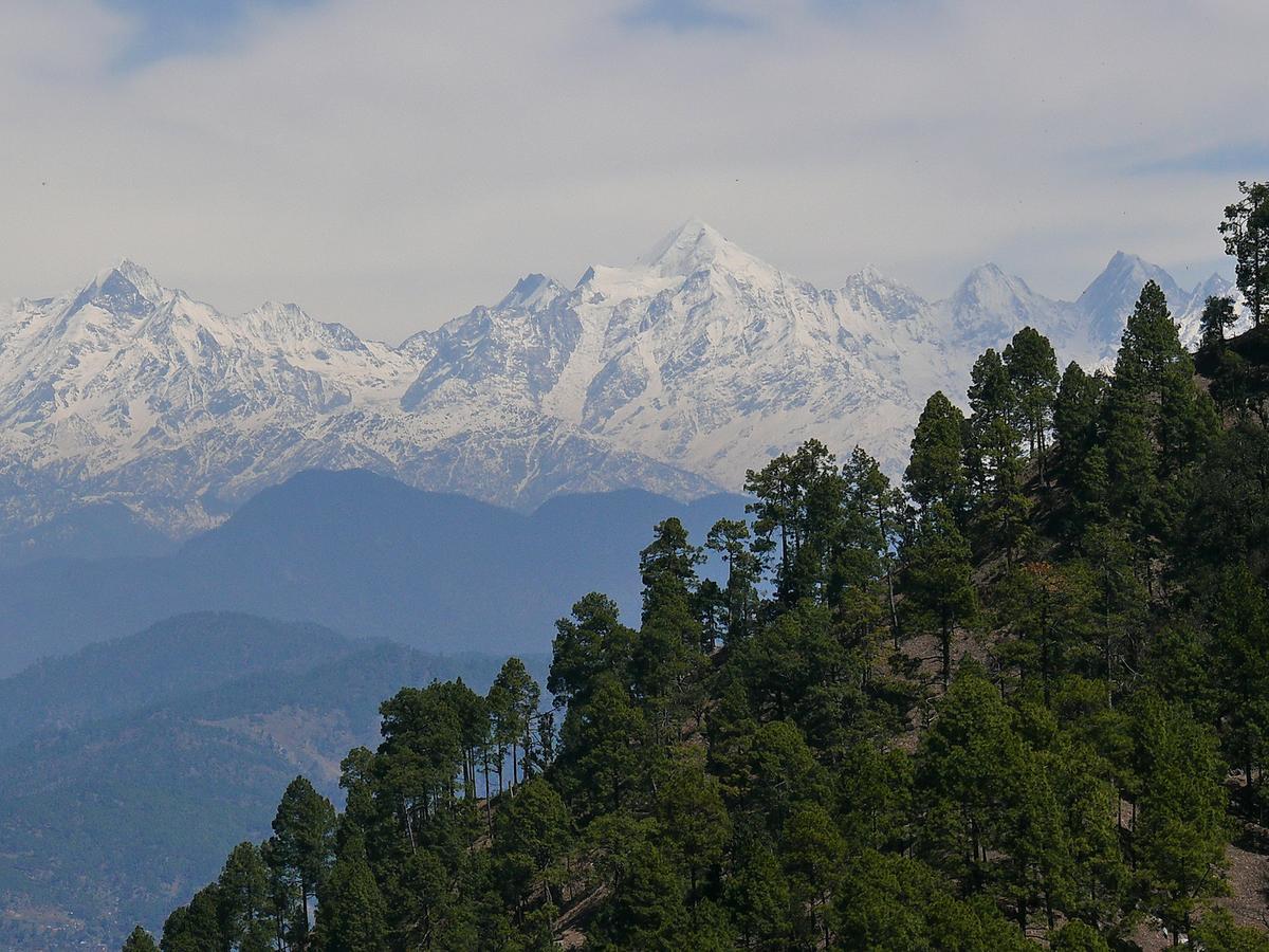 Ayurvaid Kalmatia Hotel Almora Exterior photo