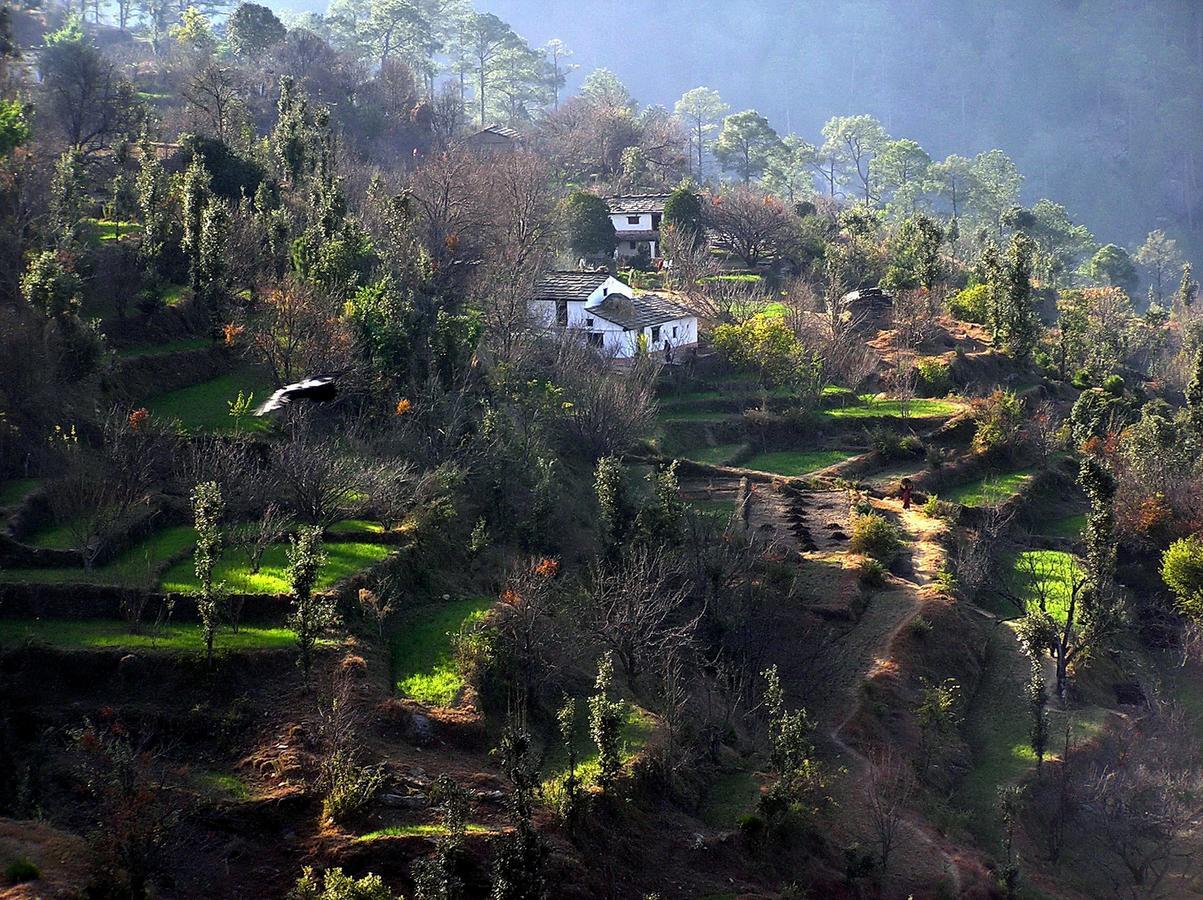 Ayurvaid Kalmatia Hotel Almora Exterior photo
